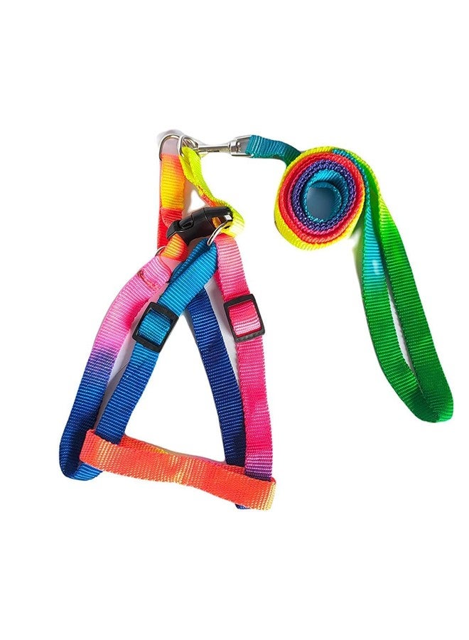 KsPups Rainbow Design Harness and Leash Set for Small Dogs & Puppies - 15mm Adjustable Soft Strap Set for Mini Breeds - Comfortable & Lightweight Pet Walking Set